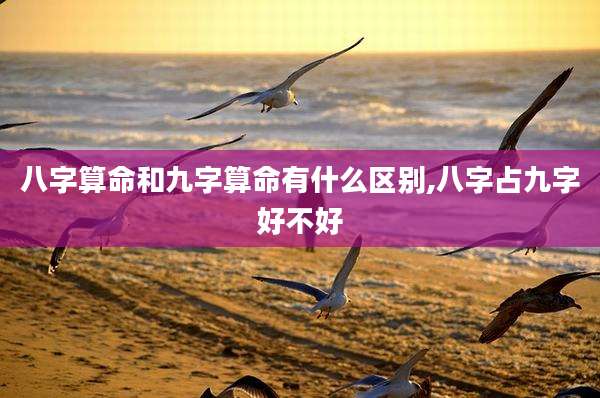 八字算命和九字算命有什么区别,八字占九字好不好