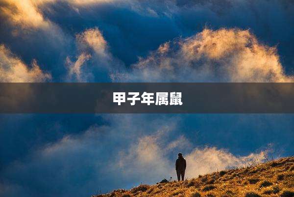甲子年属鼠