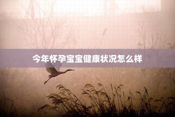 今年怀孕宝宝健康状况怎么样