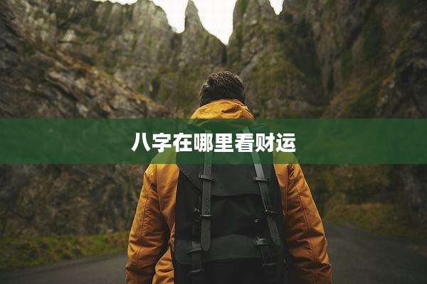 八字在哪里看财运