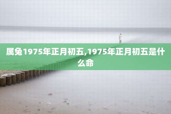 属兔1975年正月初五,1975年正月初五是什么命