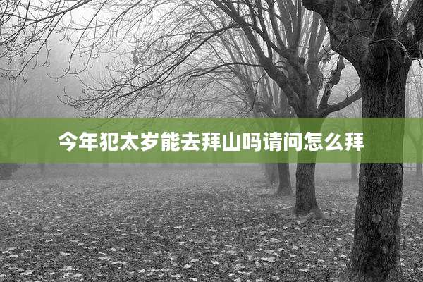 今年犯太岁能去拜山吗请问怎么拜