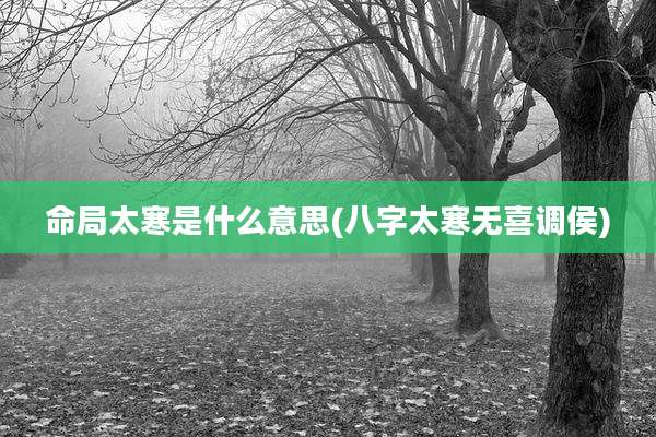命局太寒是什么意思(八字太寒无喜调侯)
