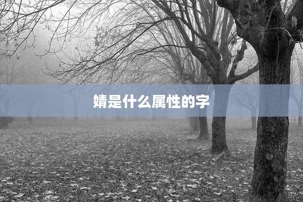 婧是什么属性的字