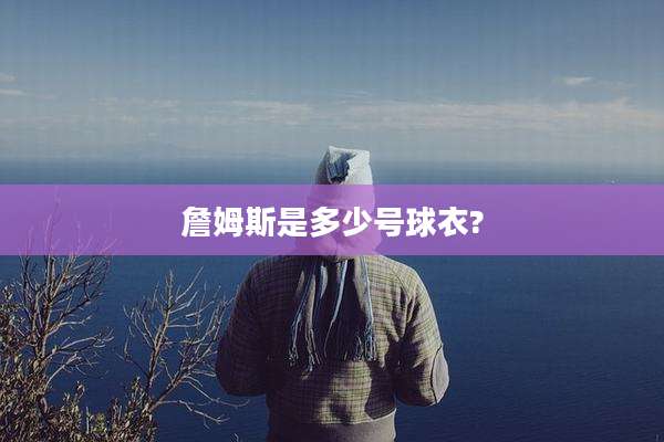 詹姆斯是多少号球衣?