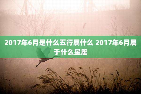 2017年6月是什么五行属什么 2017年6月属于什么星座