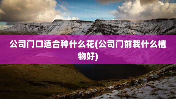 公司门口适合种什么花(公司门前栽什么植物好)