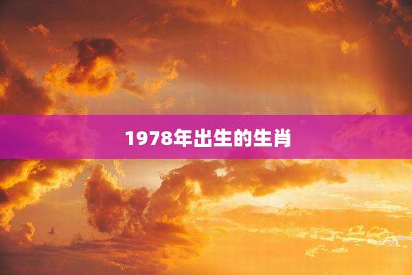 1978年出生的生肖