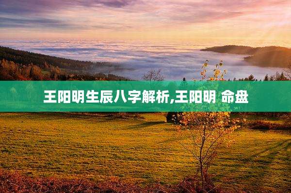 王阳明生辰八字解析,王阳明 命盘