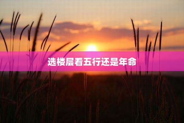 选楼层看五行还是年命