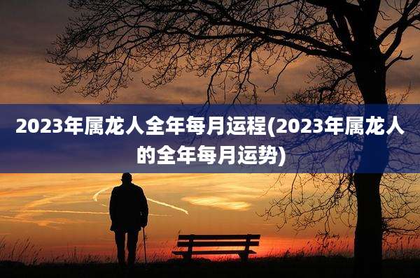 2023年属龙人全年每月运程(2023年属龙人的全年每月运势)