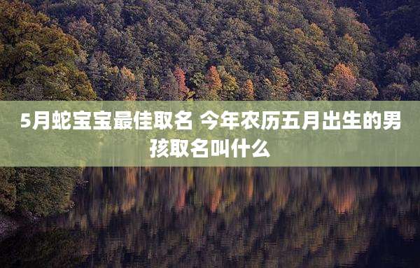 5月蛇宝宝最佳取名 今年农历五月出生的男孩取名叫什么