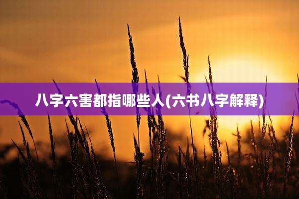 八字六害都指哪些人(六书八字解释)