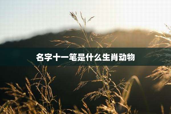 名字十一笔是什么生肖动物