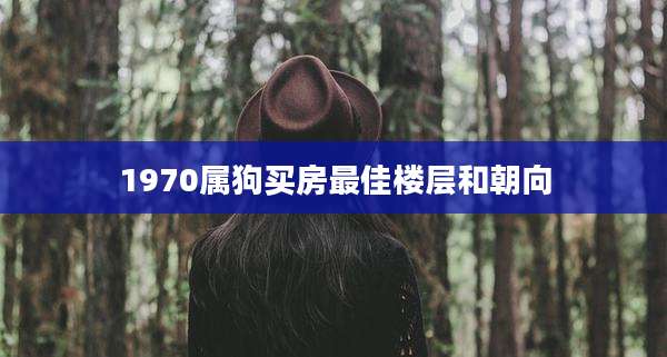 1970属狗买房最佳楼层和朝向