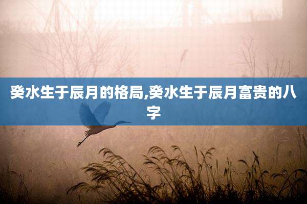 癸水生于辰月的格局,癸水生于辰月富贵的八字