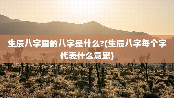 生辰八字里的八字是什么?(生辰八字每个字代表什么意思)