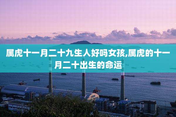属虎十一月二十九生人好吗女孩,属虎的十一月二十出生的命运