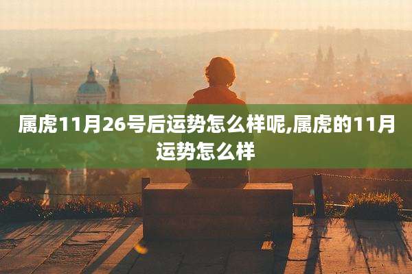 属虎11月26号后运势怎么样呢,属虎的11月运势怎么样