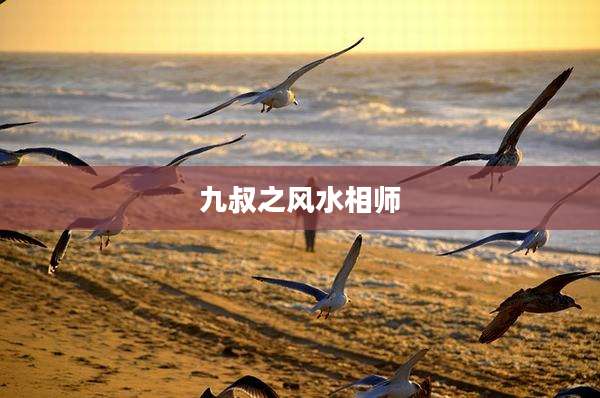 九叔之风水相师