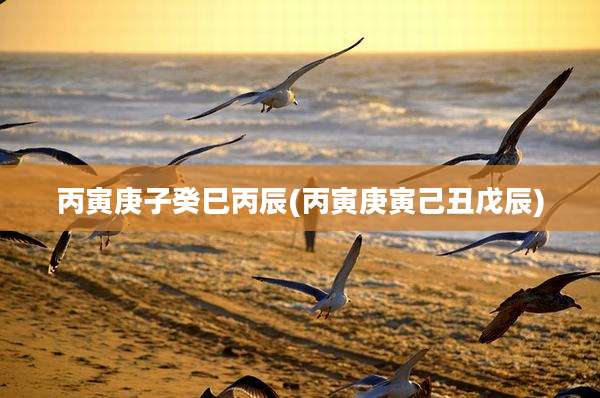 丙寅庚子癸巳丙辰(丙寅庚寅己丑戊辰)