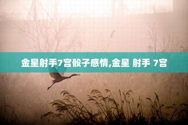 金星射手7宫骰子感情,金星 射手 7宫