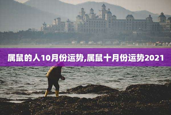 属鼠的人10月份运势,属鼠十月份运势2021