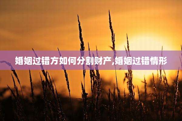 婚姻过错方如何分割财产,婚姻过错情形