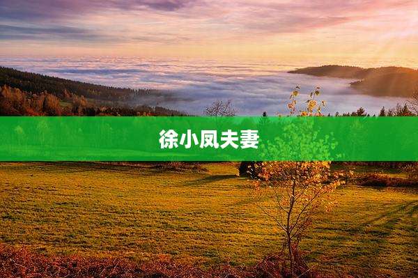 徐小凤夫妻