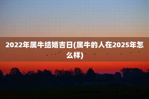 2022年属牛结婚吉日(属牛的人在2025年怎么样)