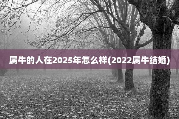 属牛的人在2025年怎么样(2022属牛结婚)