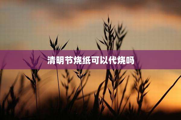清明节烧纸可以代烧吗