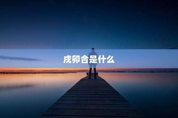戌卯合是什么