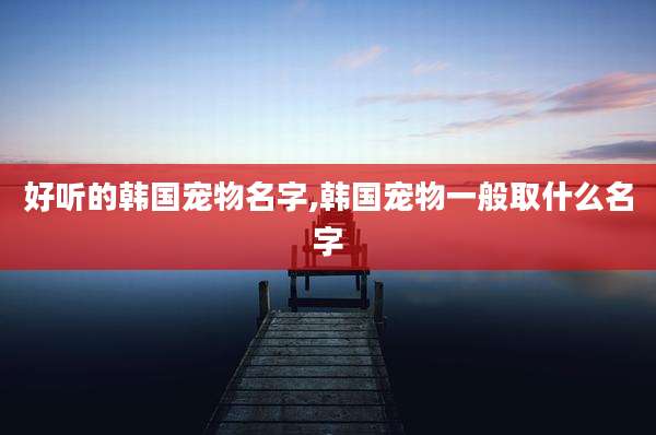 好听的韩国宠物名字,韩国宠物一般取什么名字