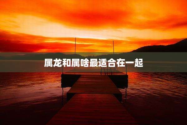 属龙和属啥最适合在一起