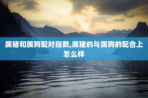 属猪和属狗配对指数,属猪的与属狗的配合上怎么样