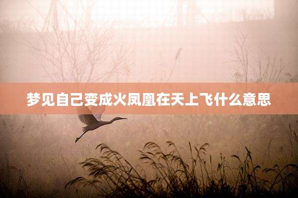 梦见自己变成火凤凰在天上飞什么意思