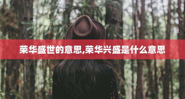 荣华盛世的意思,荣华兴盛是什么意思