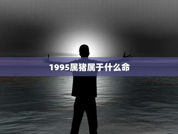 1995属猪属于什么命