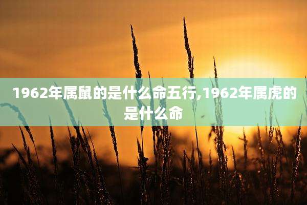 1962年属鼠的是什么命五行,1962年属虎的是什么命