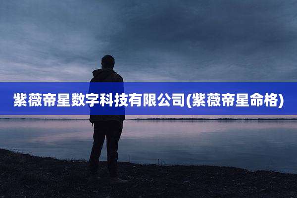 紫薇帝星数字科技有限公司(紫薇帝星命格)
