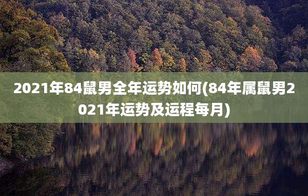 2021年84鼠男全年运势如何(84年属鼠男2021年运势及运程每月)