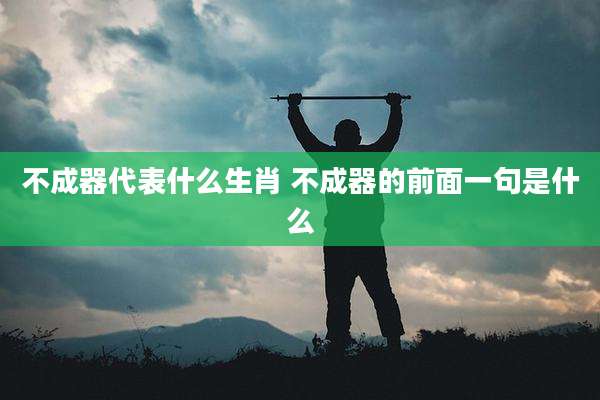 不成器代表什么生肖 不成器的前面一句是什么