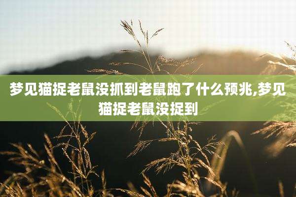 梦见猫捉老鼠没抓到老鼠跑了什么预兆,梦见猫捉老鼠没捉到