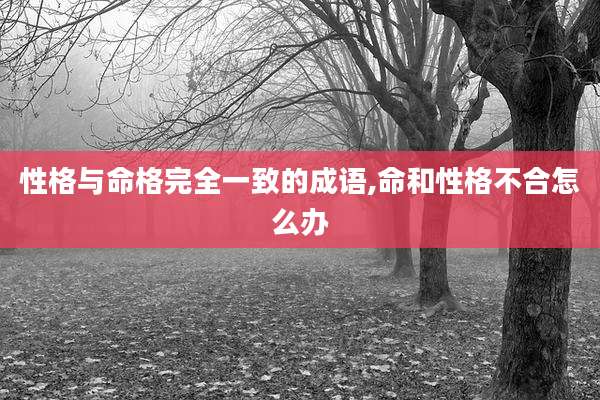 性格与命格完全一致的成语,命和性格不合怎么办