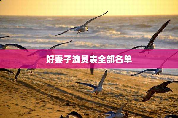 好妻子演员表全部名单