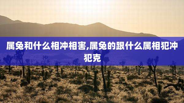属兔和什么相冲相害,属兔的跟什么属相犯冲犯克