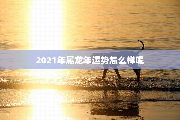 2021年属龙年运势怎么样呢