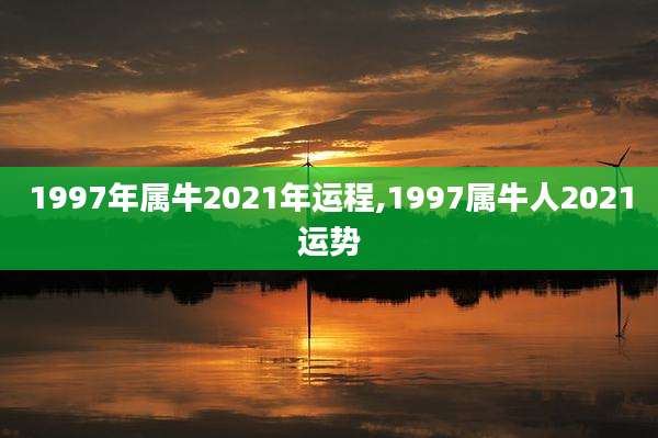 1997年属牛2021年运程,1997属牛人2021运势