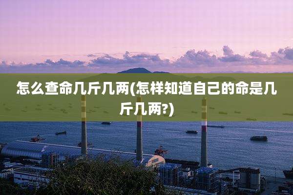 怎么查命几斤几两(怎样知道自己的命是几斤几两?)